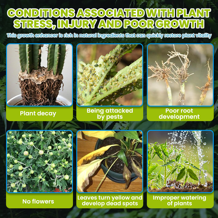 š„TikTok Hot Sellers- ComfortCornerUs⢠Pest Shield Plant Revitalizer