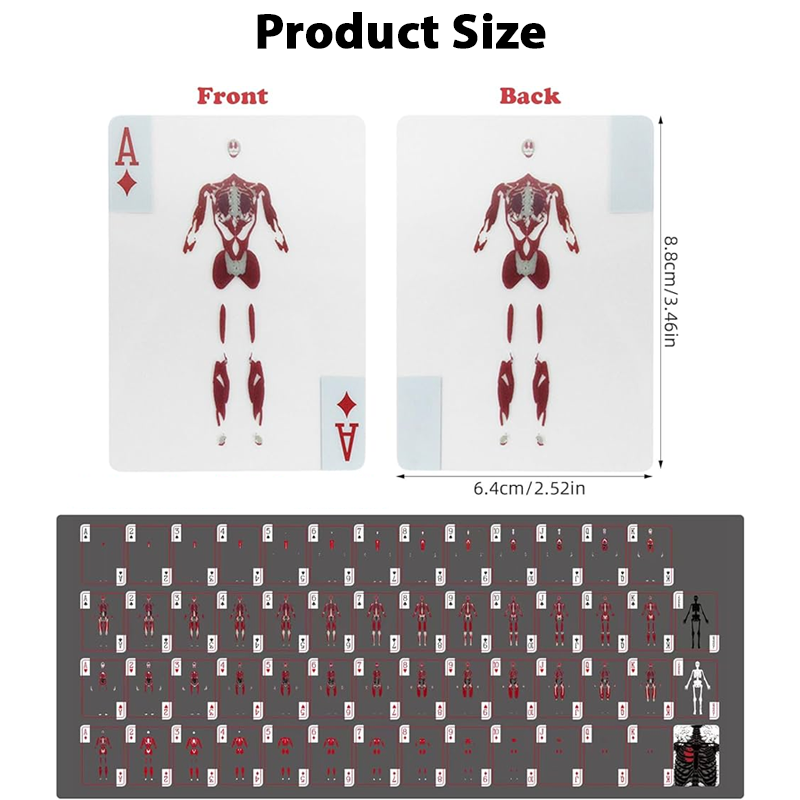 ComfortCornerUs™ BoneMatrix Transparent Body Deck