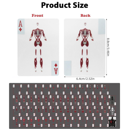 ComfortCornerUs™ BoneMatrix Transparent Body Deck